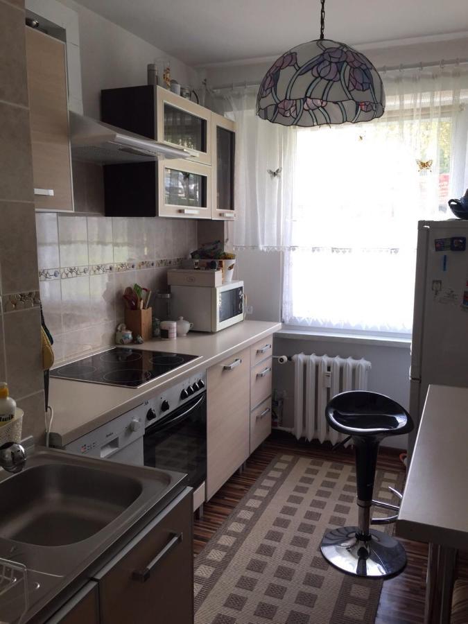 Lake View Apartment Mrągowo Extérieur photo